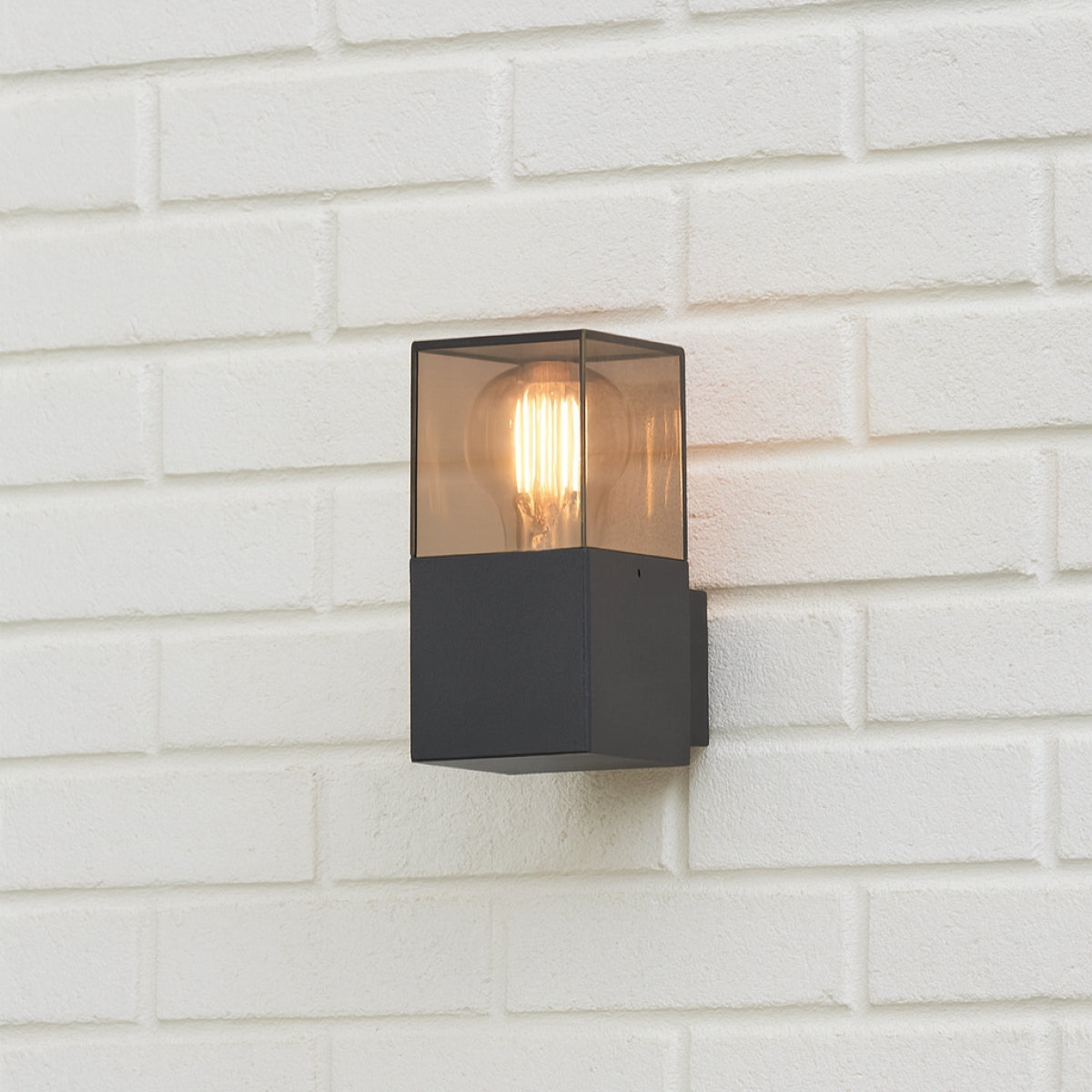 CGC AMARA Anthracite Dark Grey Outdoor Wall Light with Smoked Diffuser IP44 E27
