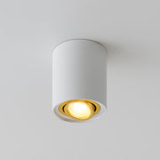 CGC PRINCE White GU10 Adjustable Surface Ceiling Downlight Flush Spot light with Gold Bezel