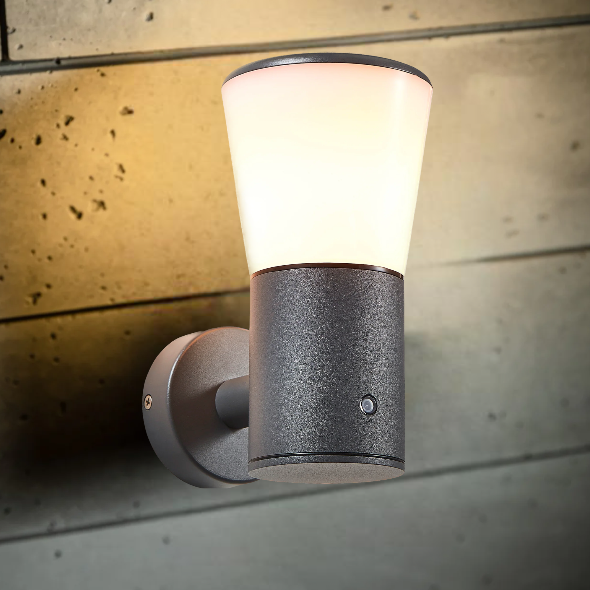 Outdoor light deals fixtures with photocell