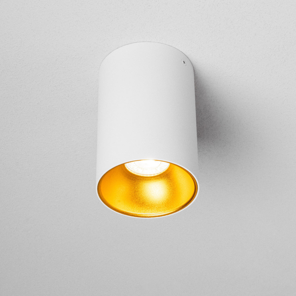 CGC SANDRA White Cylinder Ceiling Spotlight With Gold Inner Reflector