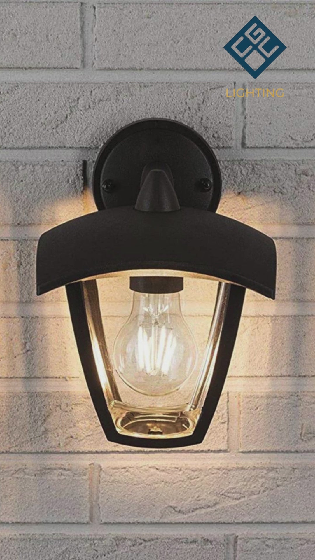 Load video: CGC VIOLET Down Black Outdoor Wall Lantern Light
