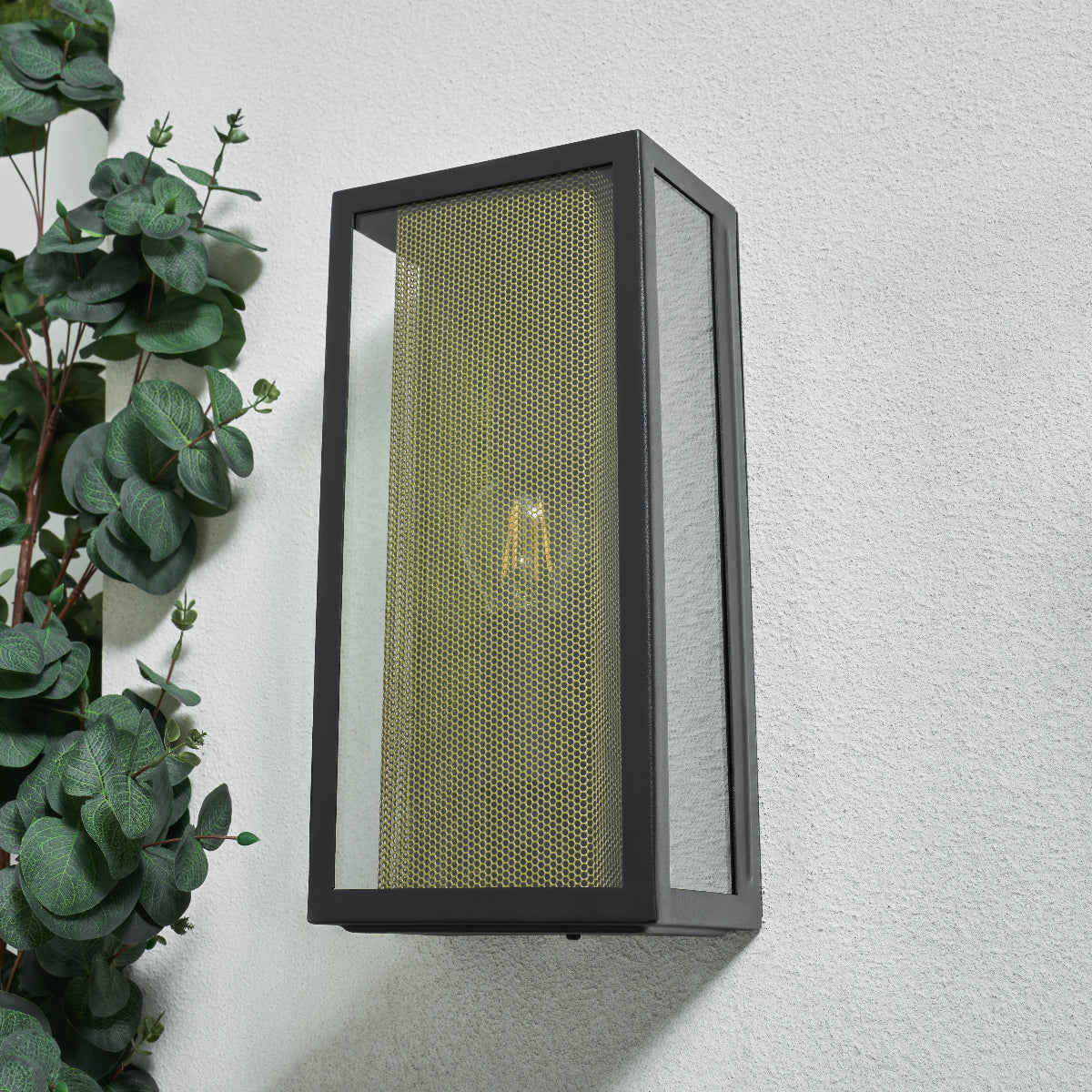 Modern outdoor light fixture on a wall with a plant to the left