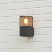 CGC AMARA Anthracite Dark Grey Outdoor Wall Light with Smoked Diffuser IP44 E27