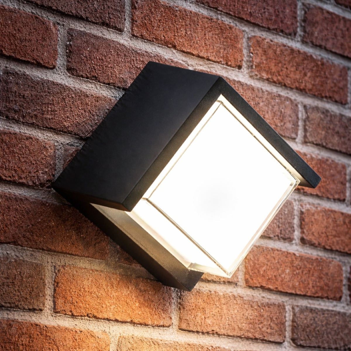 Decorative LED Light Bulbs