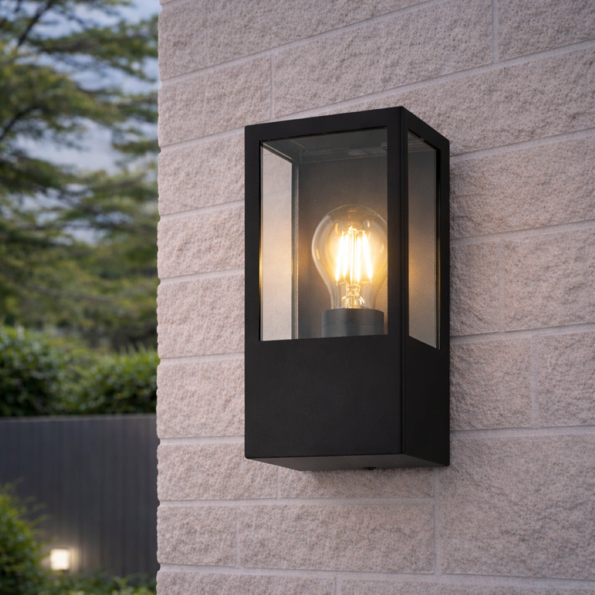 CGC Dave Black E27 Outdoor Wall Light Box Lantern Clear Diffuser IP54