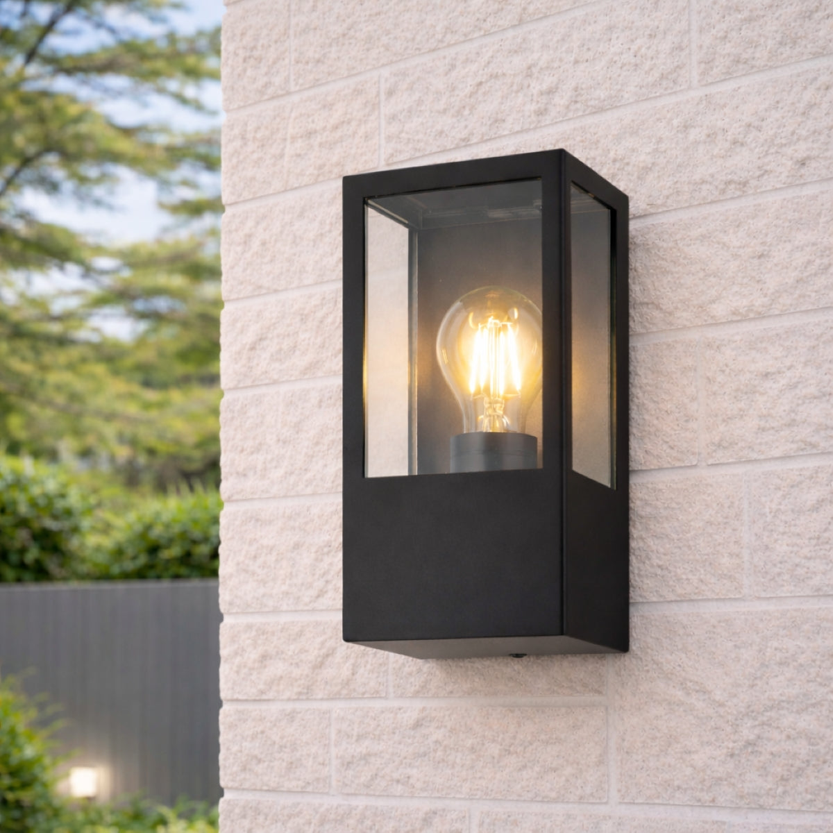 CGC Dave Black E27 Outdoor Wall Light Box Lantern Clear Diffuser IP54