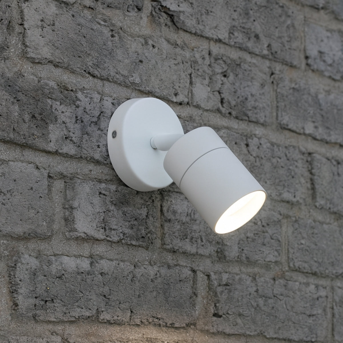 CGC ALESHA White Stainless Steel Adjustable Outdoor Wall Spotlight
