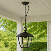 Black outdoor pendant light hanging from a ceiling with greenery in the background
