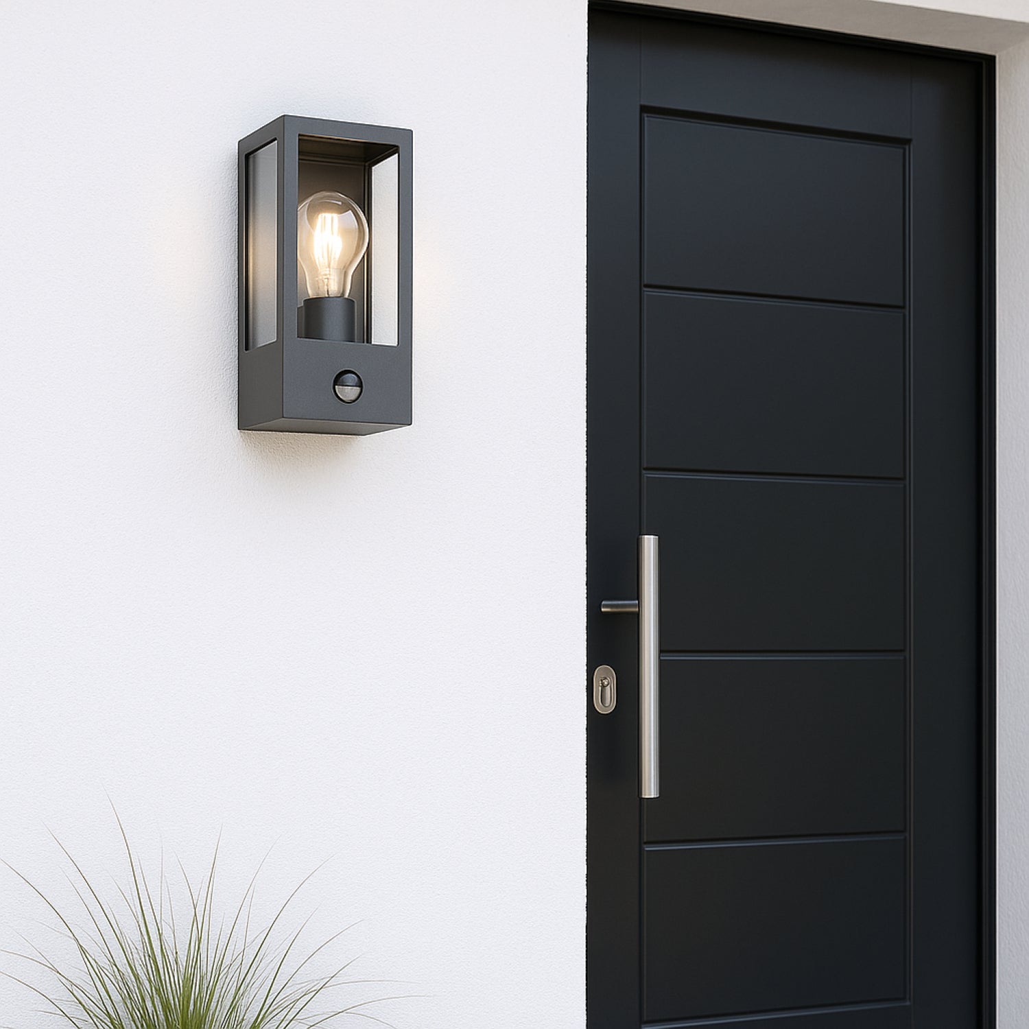 Modern black door with a wall-mounted light fixture on a white wall.
