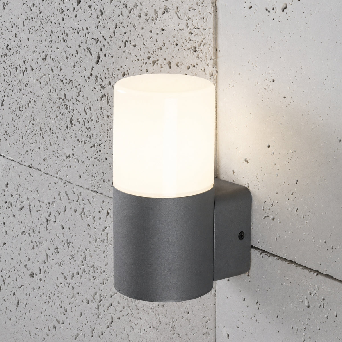 CGC CORTEZ Dark Grey Single Outdoor Wall Light