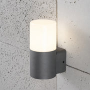 CGC CORTEZ Dark Grey Single Outdoor Wall Light
