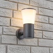 CGC OTIS Anthracite Dark Grey Outdoor Wall Light Lantern Opal Diffuser E27 IP44