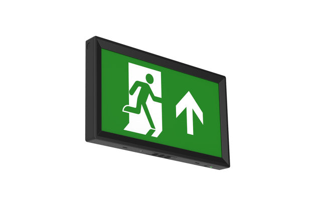 CGC Black Emergency Exit Box Wall Mounting with Legends – CGC Interiors
