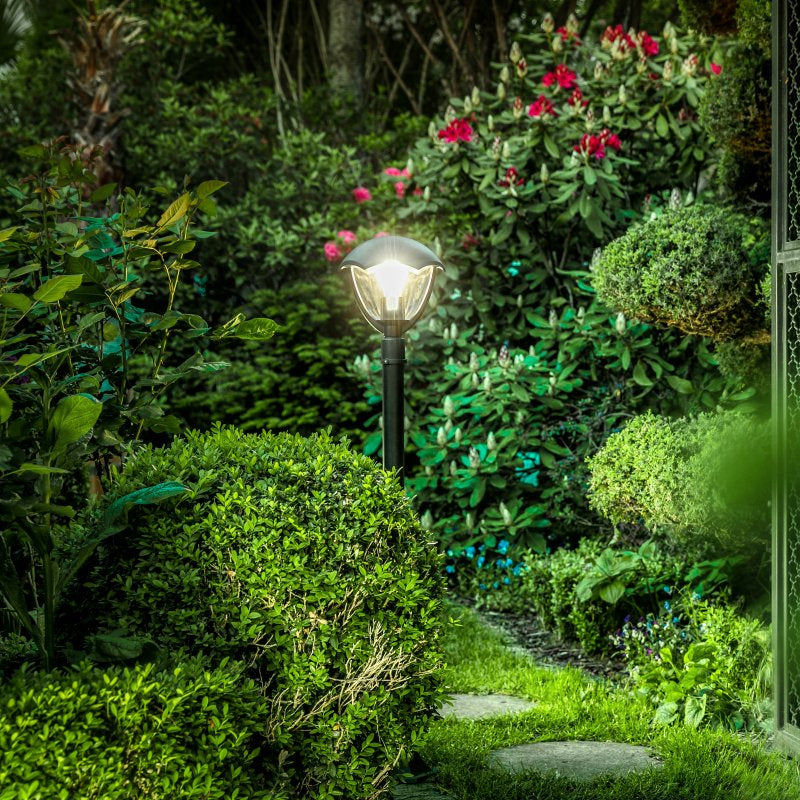 Garden path illuminated by a solar lamp with flowers and greenery around