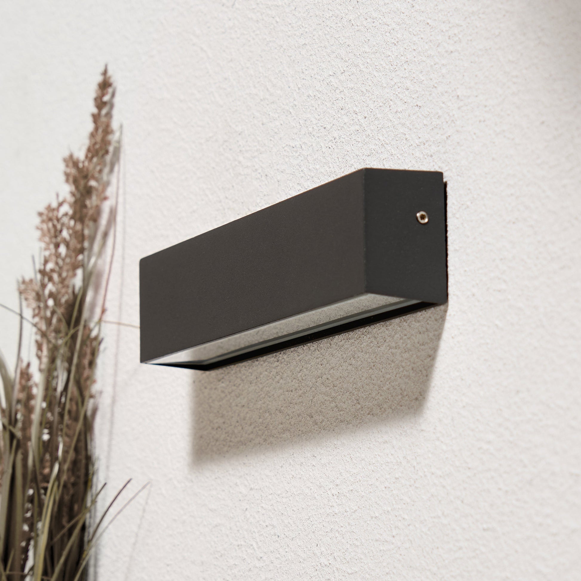 Black rectangular wall light fixture on a white wall with a plant to the left.