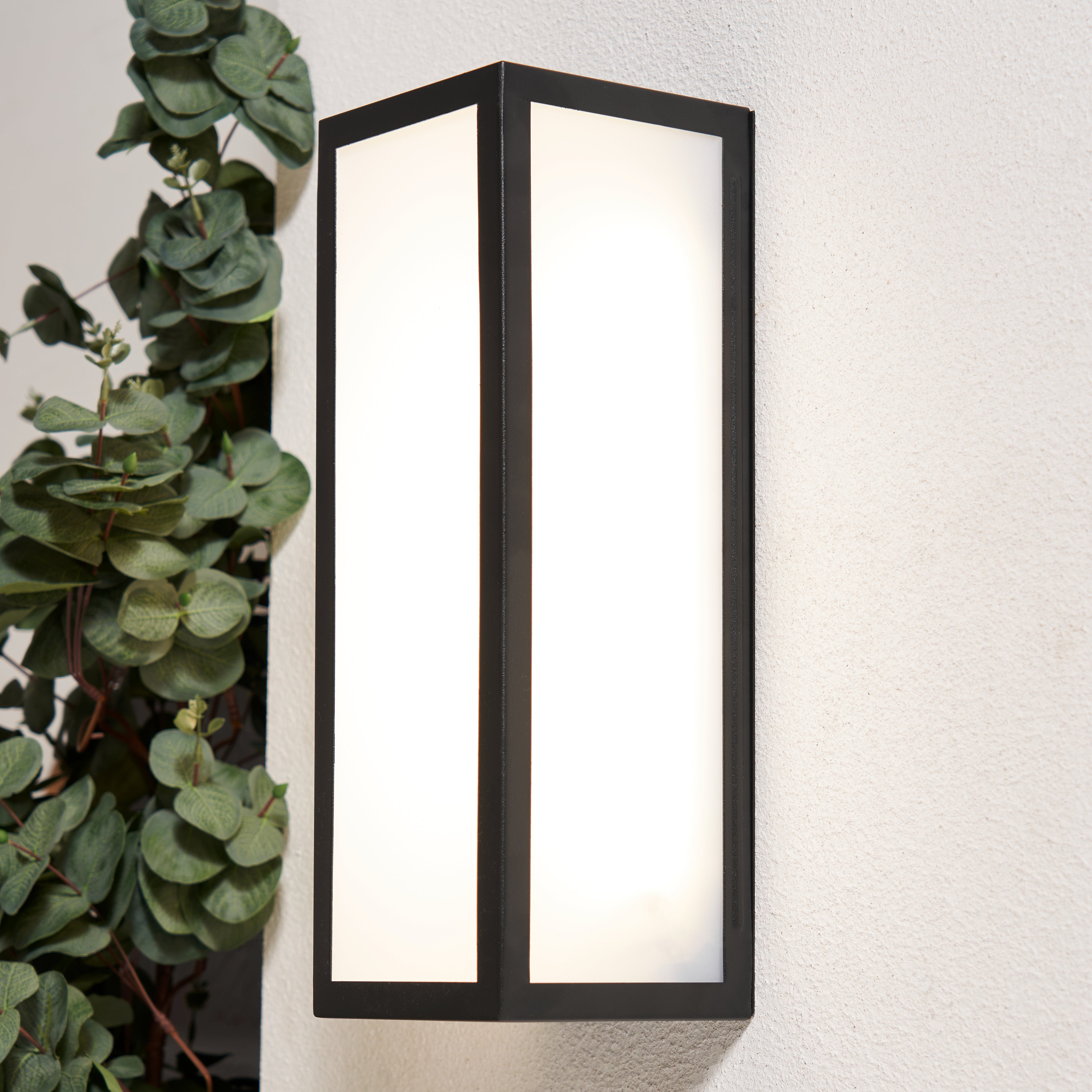Black wall-mounted light fixture on a white wall with greenery to the left.