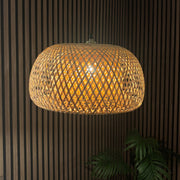 Woven pendant light hanging against a striped wall with a plant in the corner.