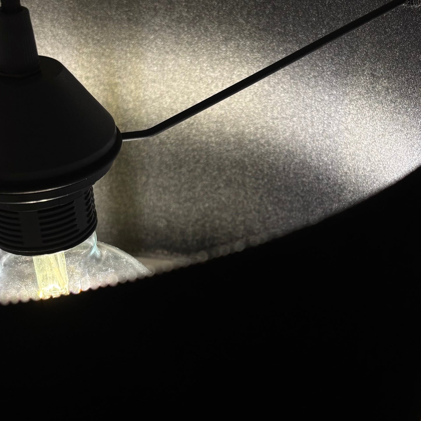 Close-up of a lamp with a black shade and visible bulb inside.