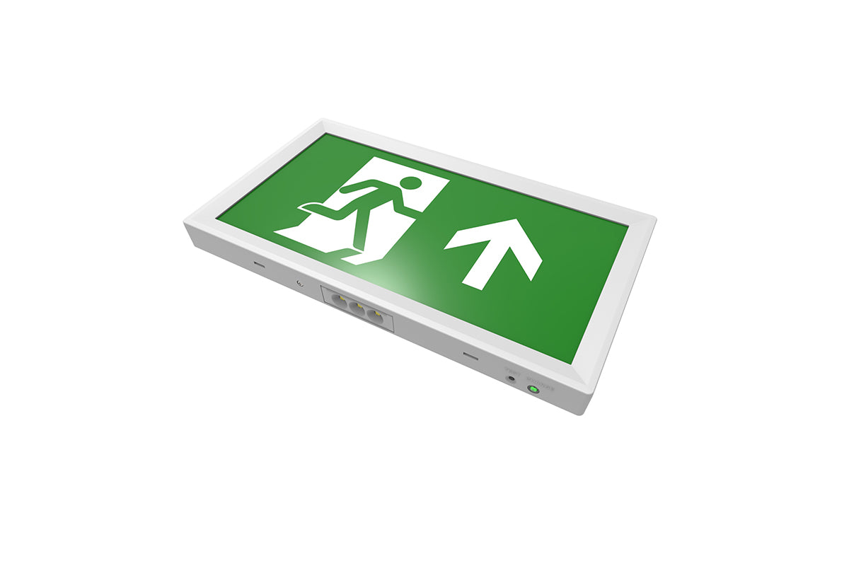 CGC White Emergency Exit Box Wall Mounting with Legends – CGC Interiors