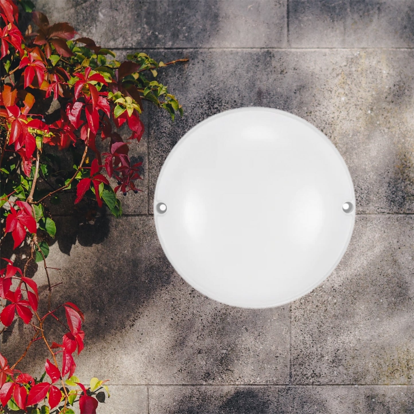 Our Leah round bulkhead can be wall mounted to provide the perfect lighting solution for corridors, hallways, walkways, stairwells, car parks, porches light and basements. Complete with highly efficient natural white built-in LEDs.
