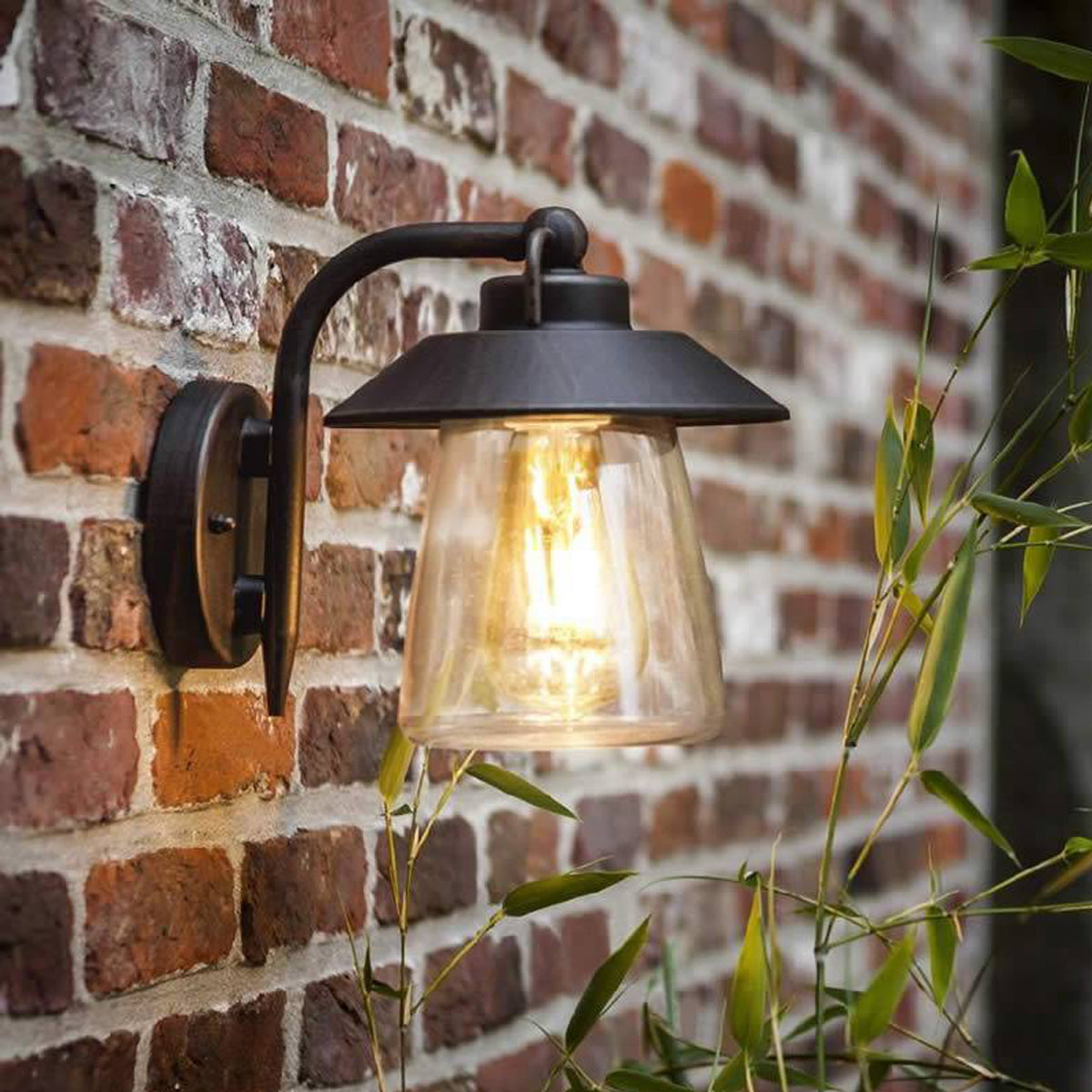 side shot of black & bronze wall lantern, ISABELLA, applied to a wall next to a plant