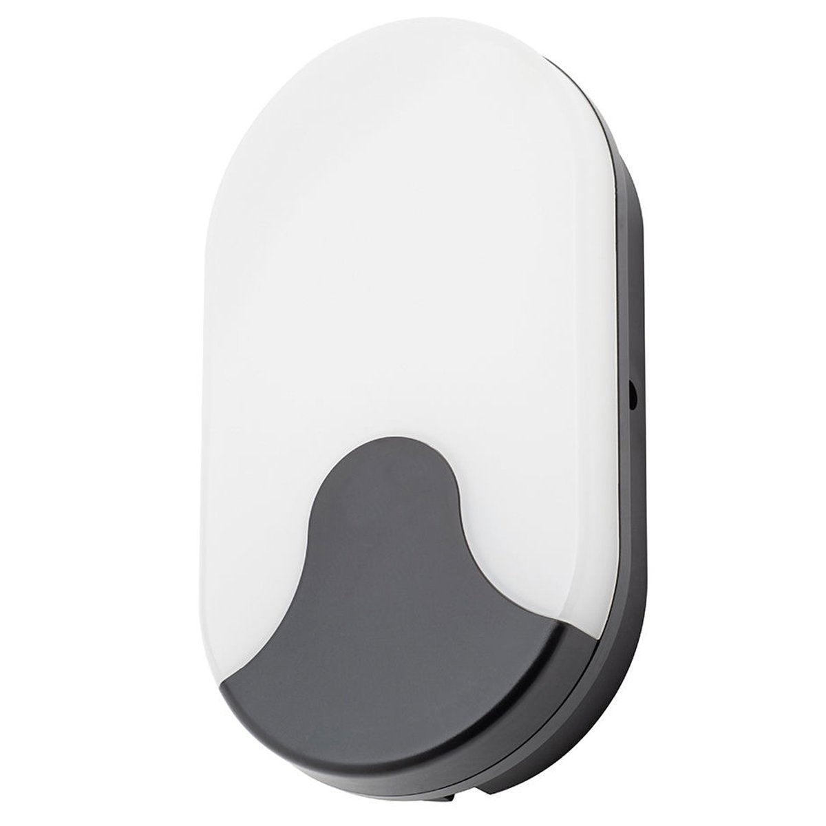 CGC BECCA Oval Monochrome LED Wall Light