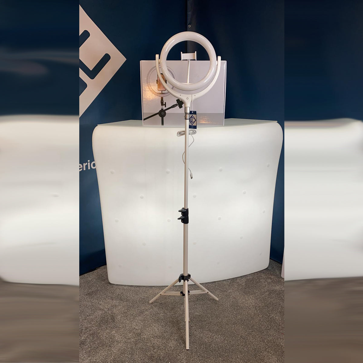 RINGO - CGC 10 Inch LED Ring Light In White