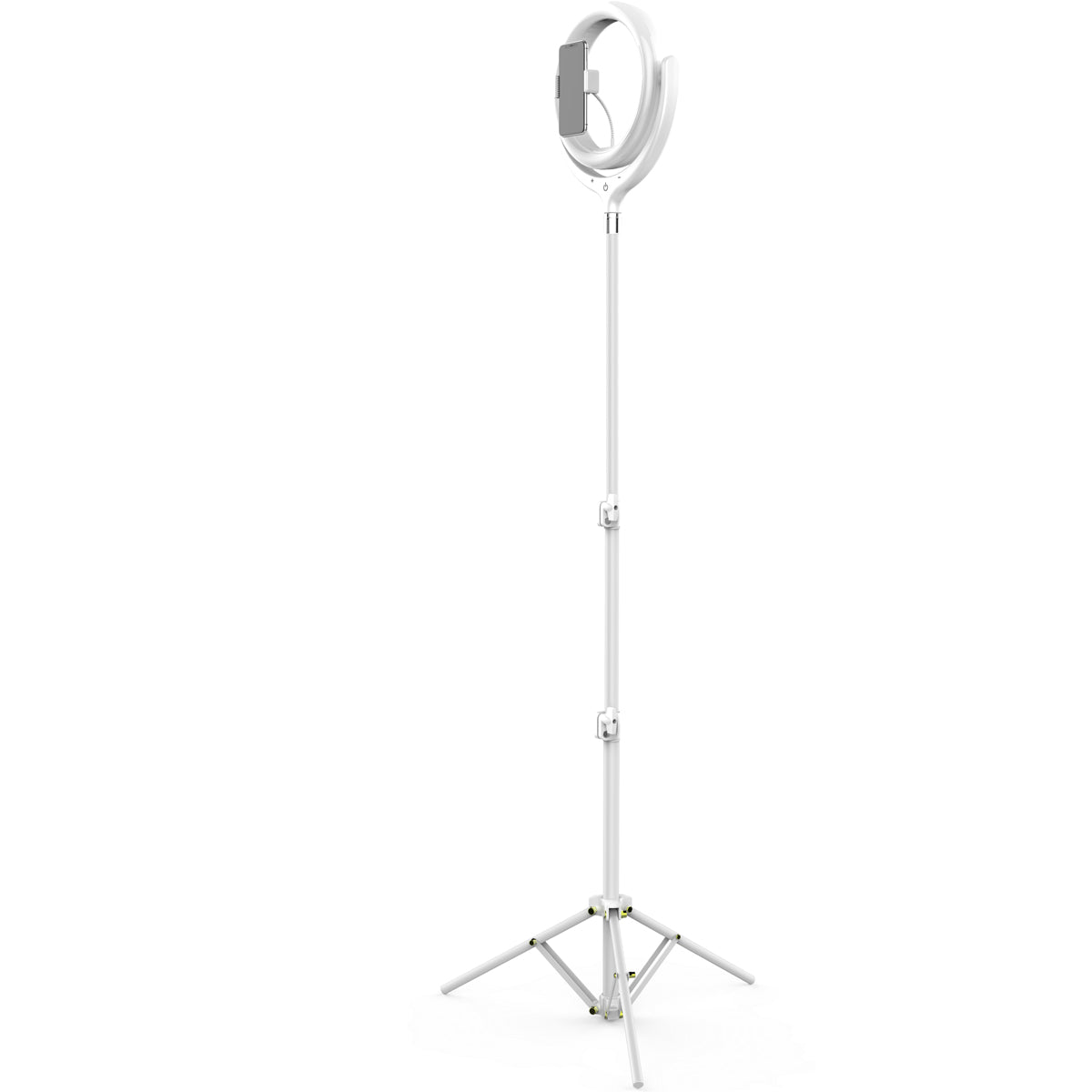 RINGO - CGC 10 Inch LED Ring Light In White