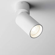 CGC WILLOW White Cylinder Adjustable Spotlight