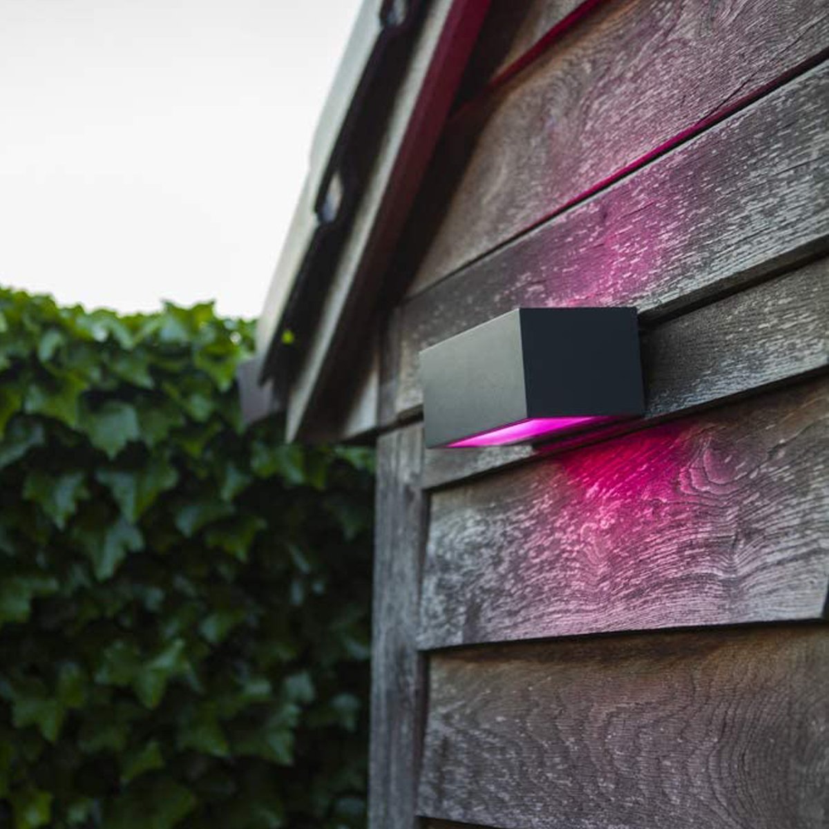CGC LOTTIE Dark Grey RGB LED Wall Light