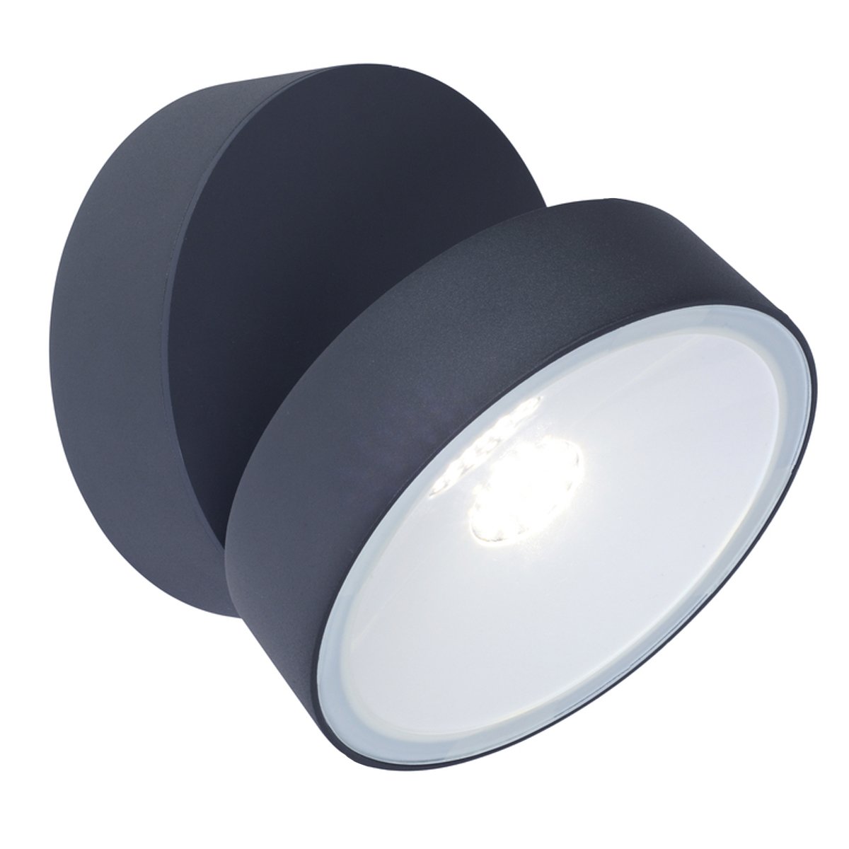 TAYLOR - CGC Dark Grey Large Circular LED Wall Adjustable Spotlight
