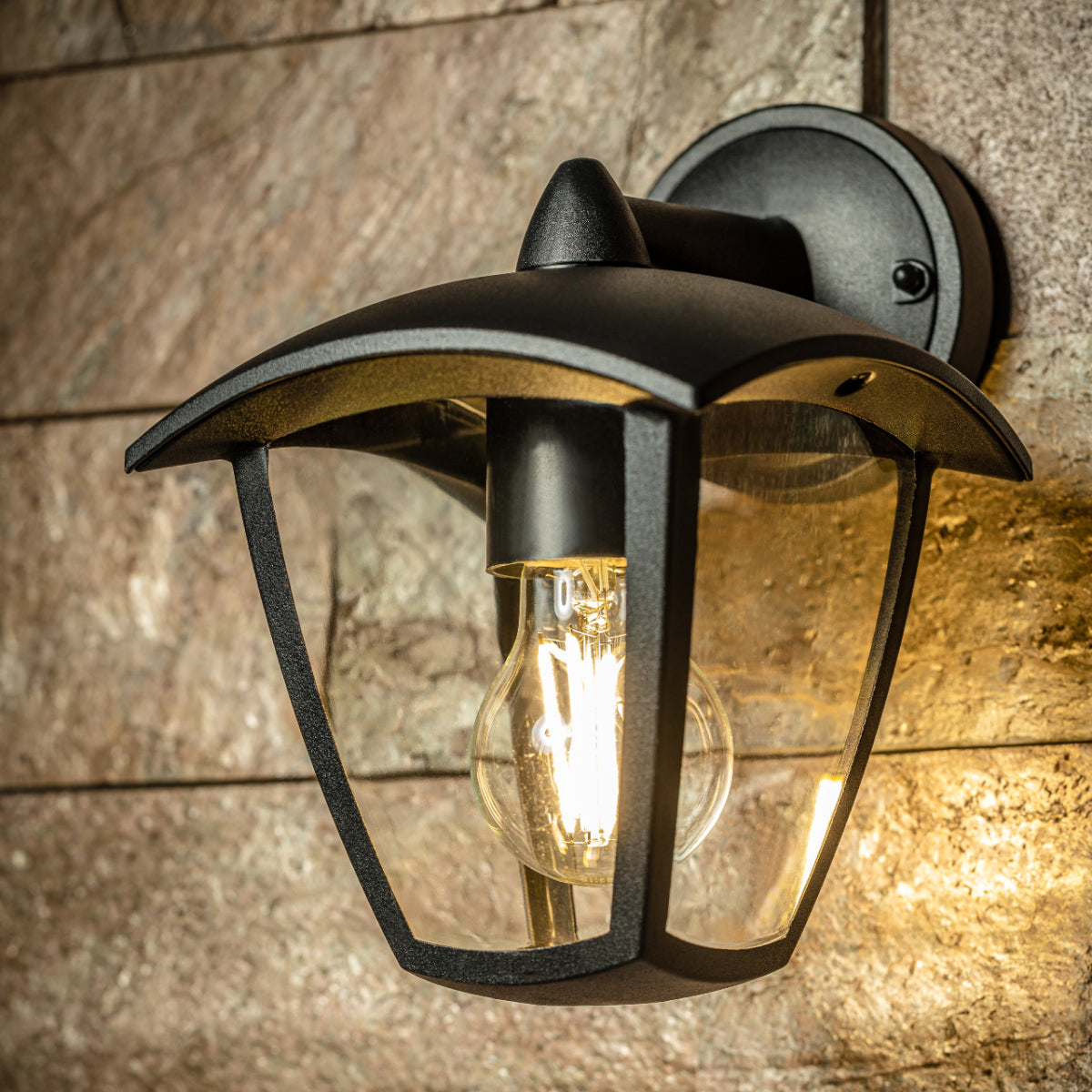 CGC VIOLET Down Black Outdoor Wall Lantern Light