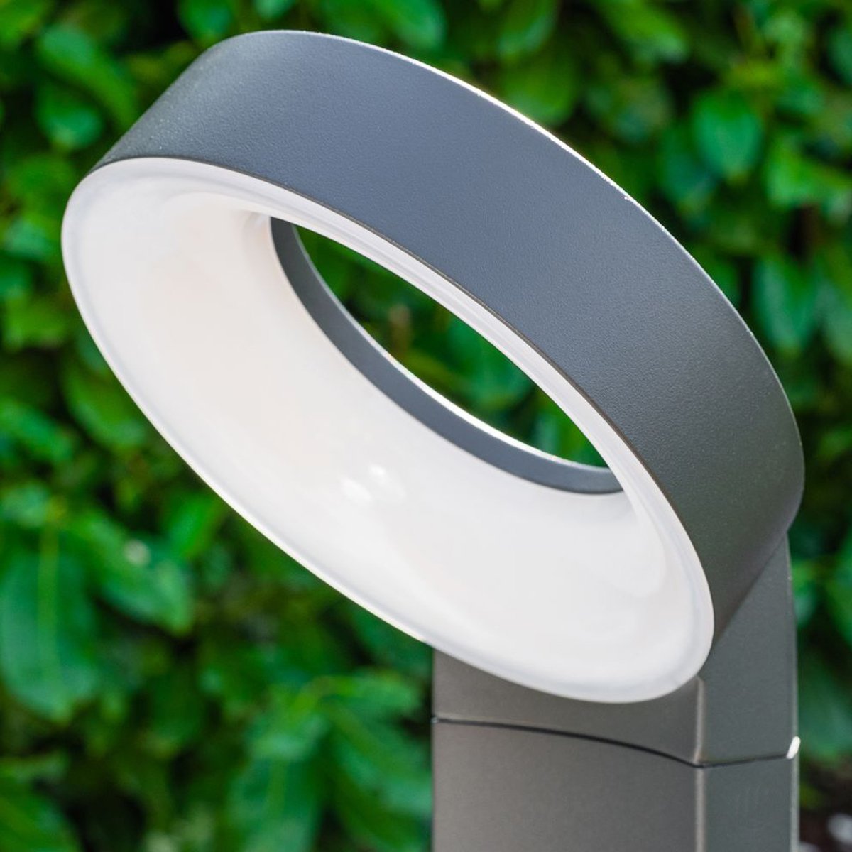 CGC THEA Dark Grey Halo LED Outdoor Post Light