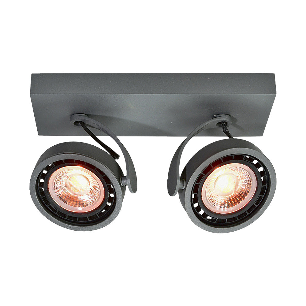 CGC WALLY Anthracite Grey Double Surface Mounted Adjustable Spotlight