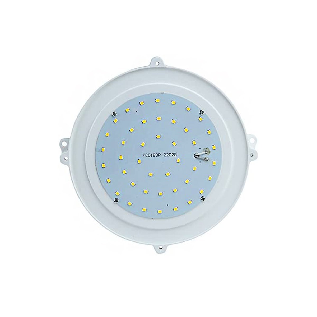 CGC DOTTIE White Round LED Outdoor Wall Light