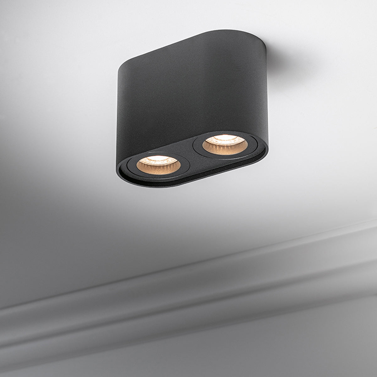CGC SANSA Black Twin Round Cylinder Ceiling Down Spotlight