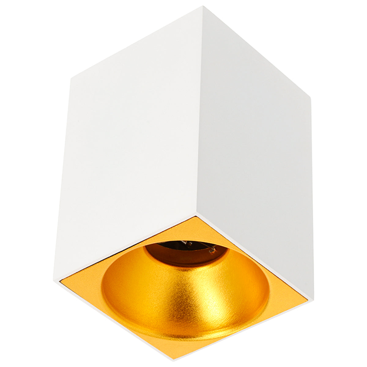 CGC SANDRA White Square Single Spotlight With Gold Reflector