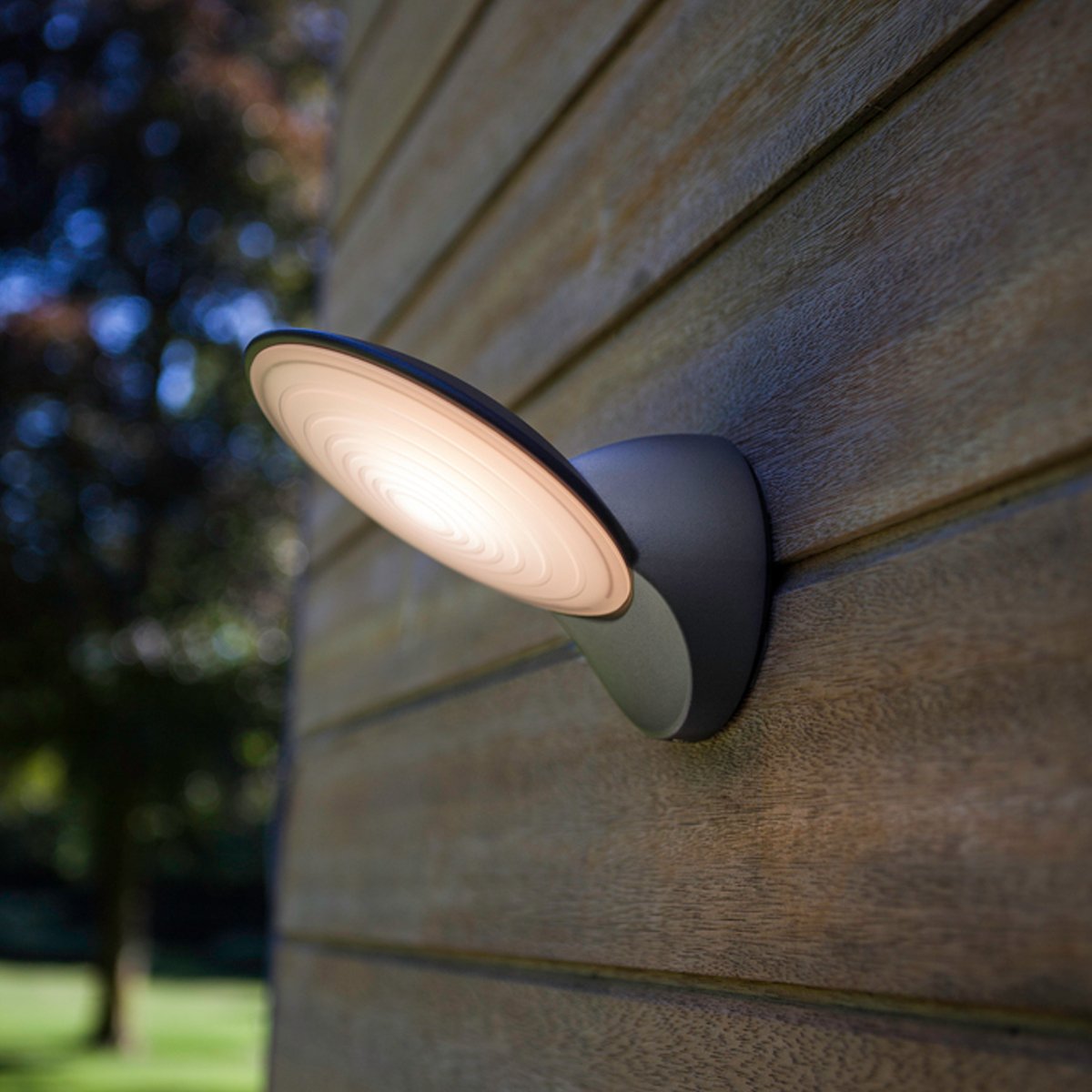 CGC KIARA Dark Grey Disc Shaped LED Wall Light