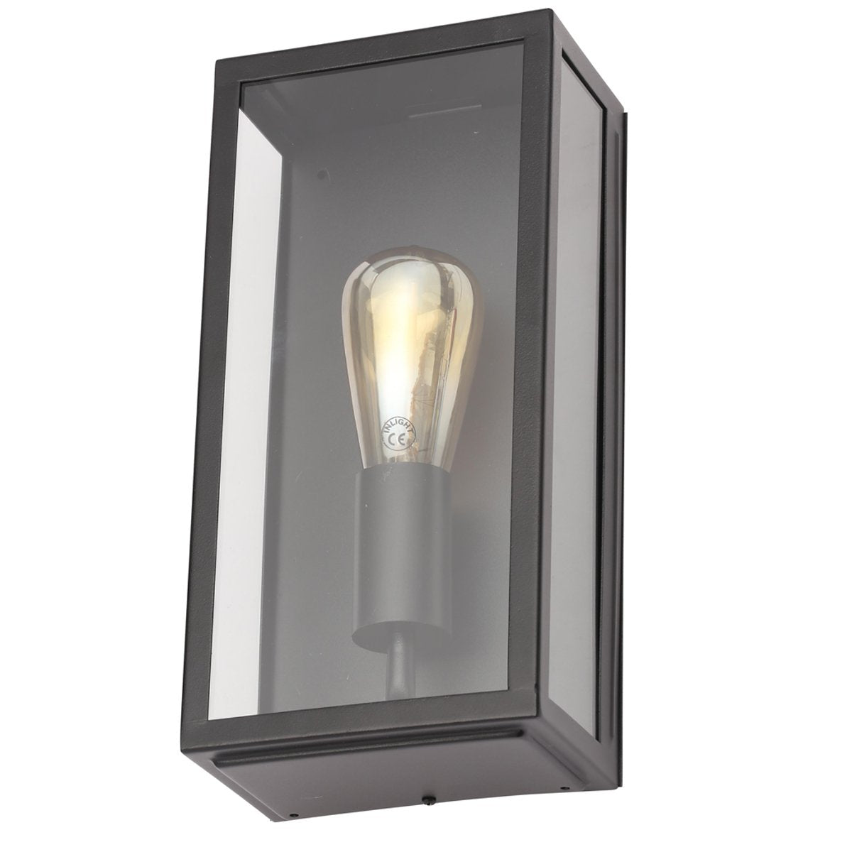 CGC IRENE Black Industrial Box Outdoor Wall Light