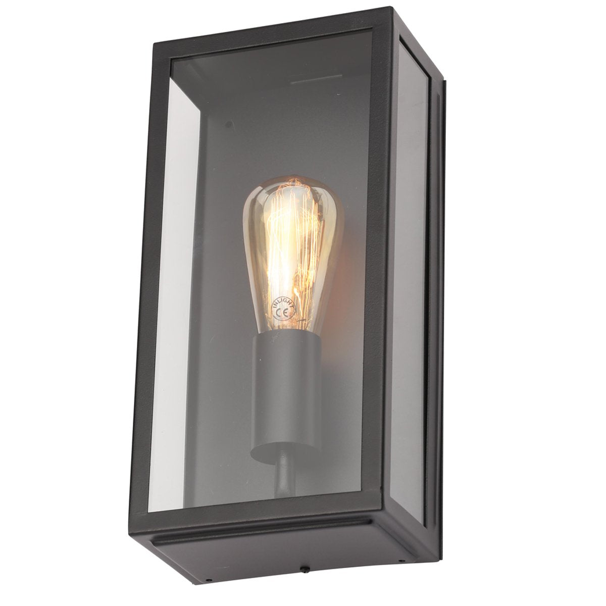 CGC IRENE Black Industrial Box Outdoor Wall Light