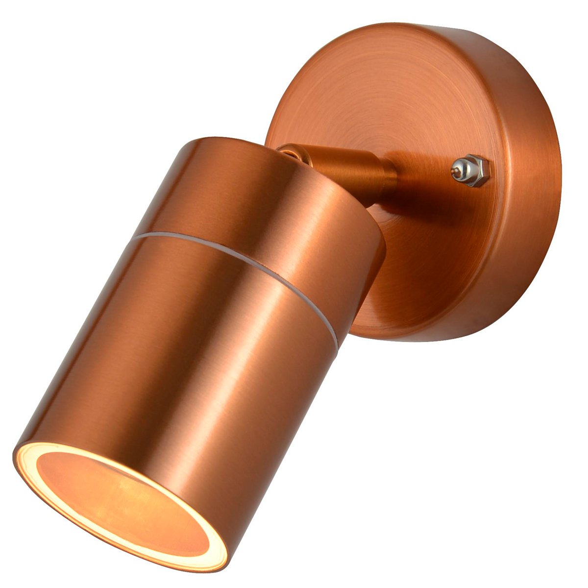 CGC ALESHA Copper Stainless Steel Adjustable Outdoor Wall Spotlight